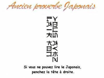  japonai trop mauver 